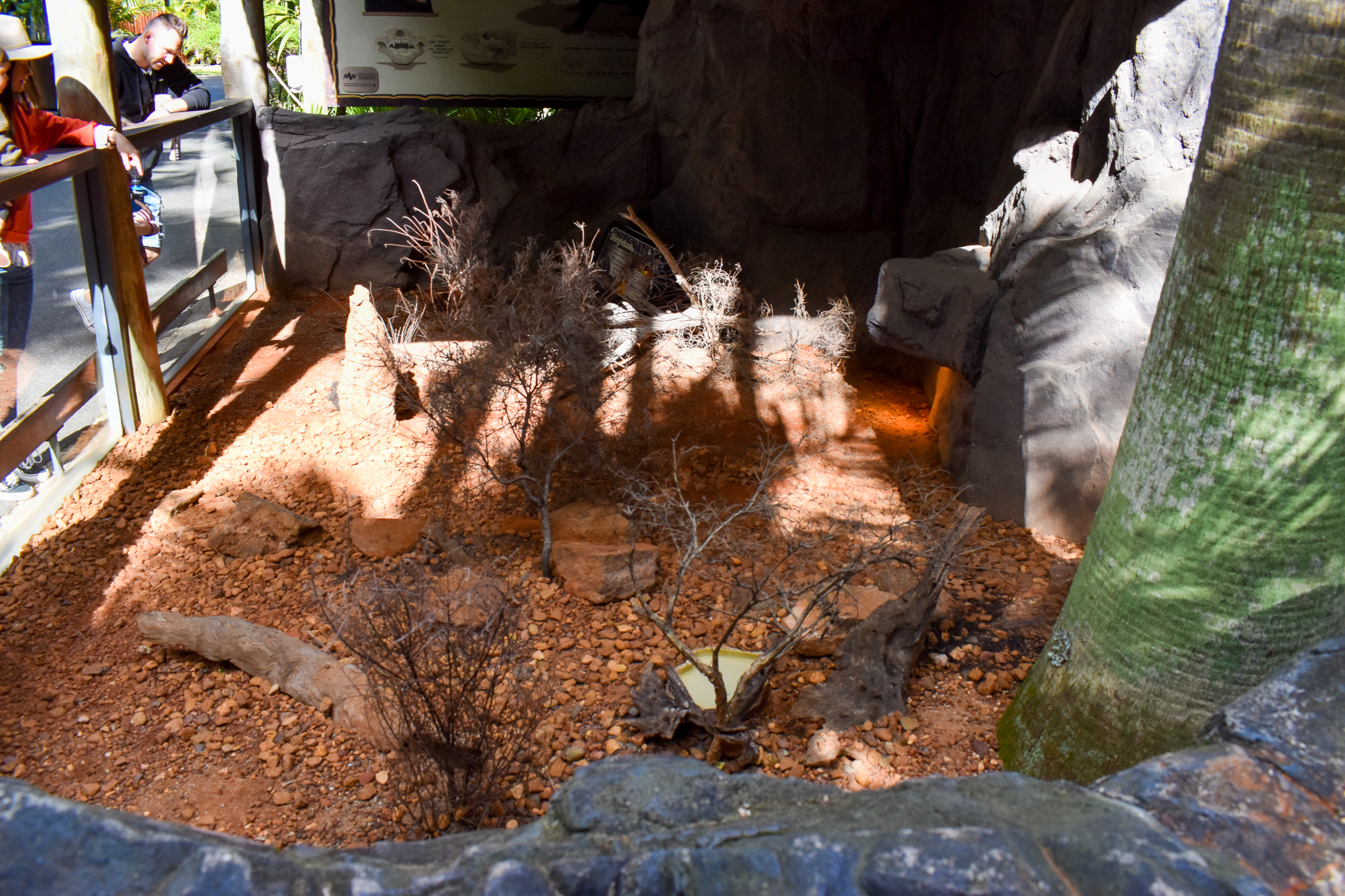 Shingleback Enclosure