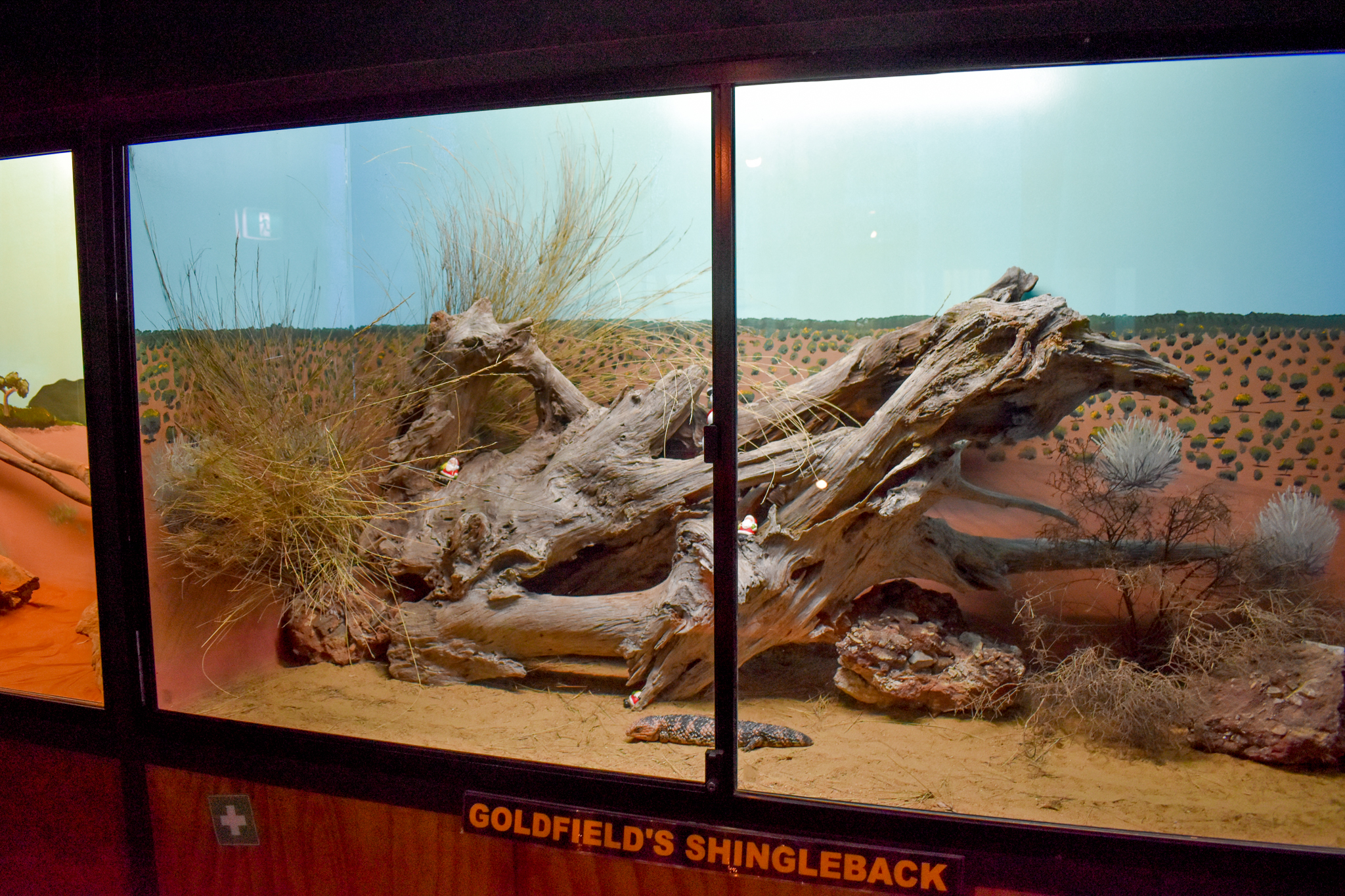 Shingleback Enclosure