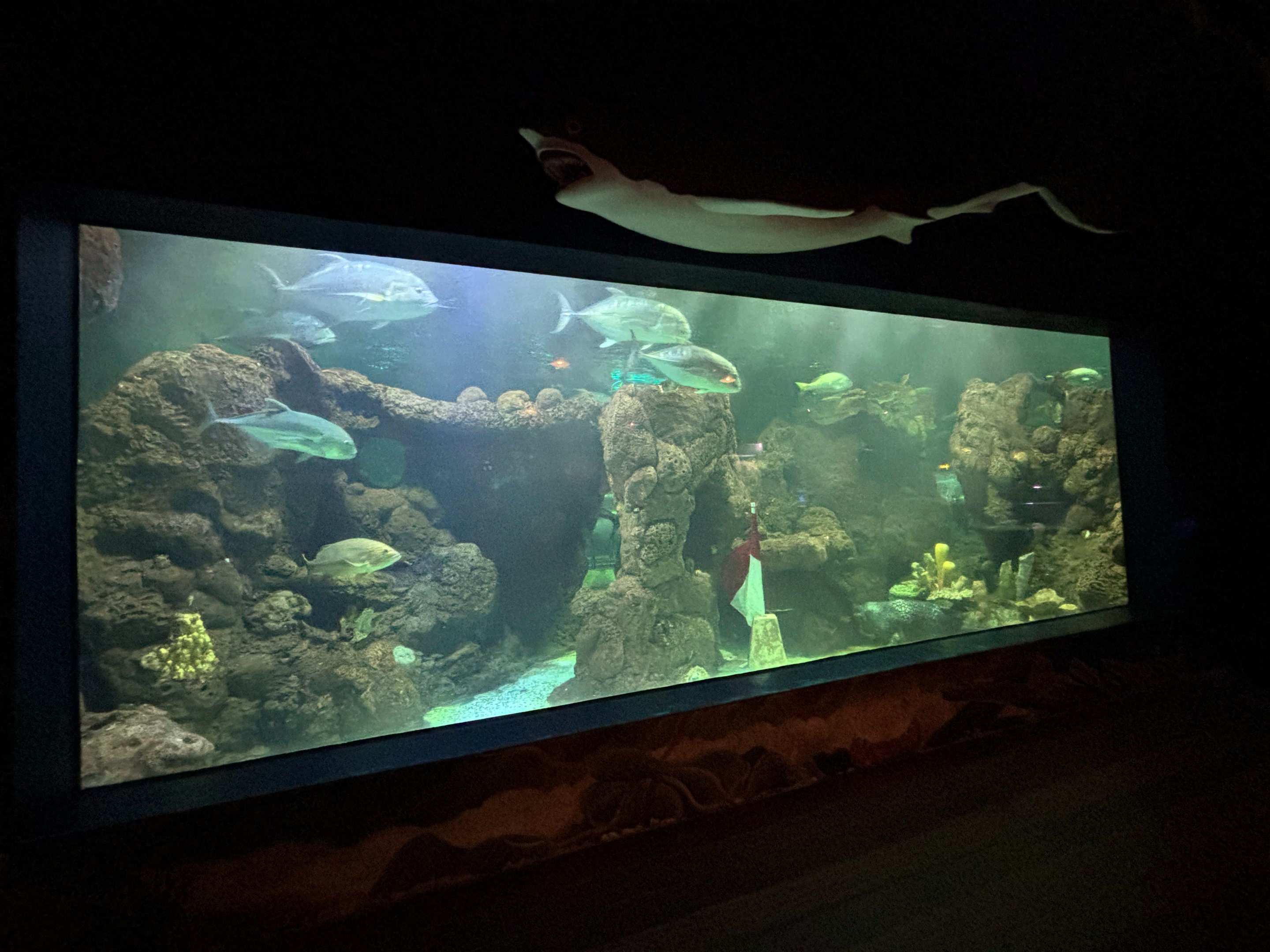 Ship Themed Room Tank