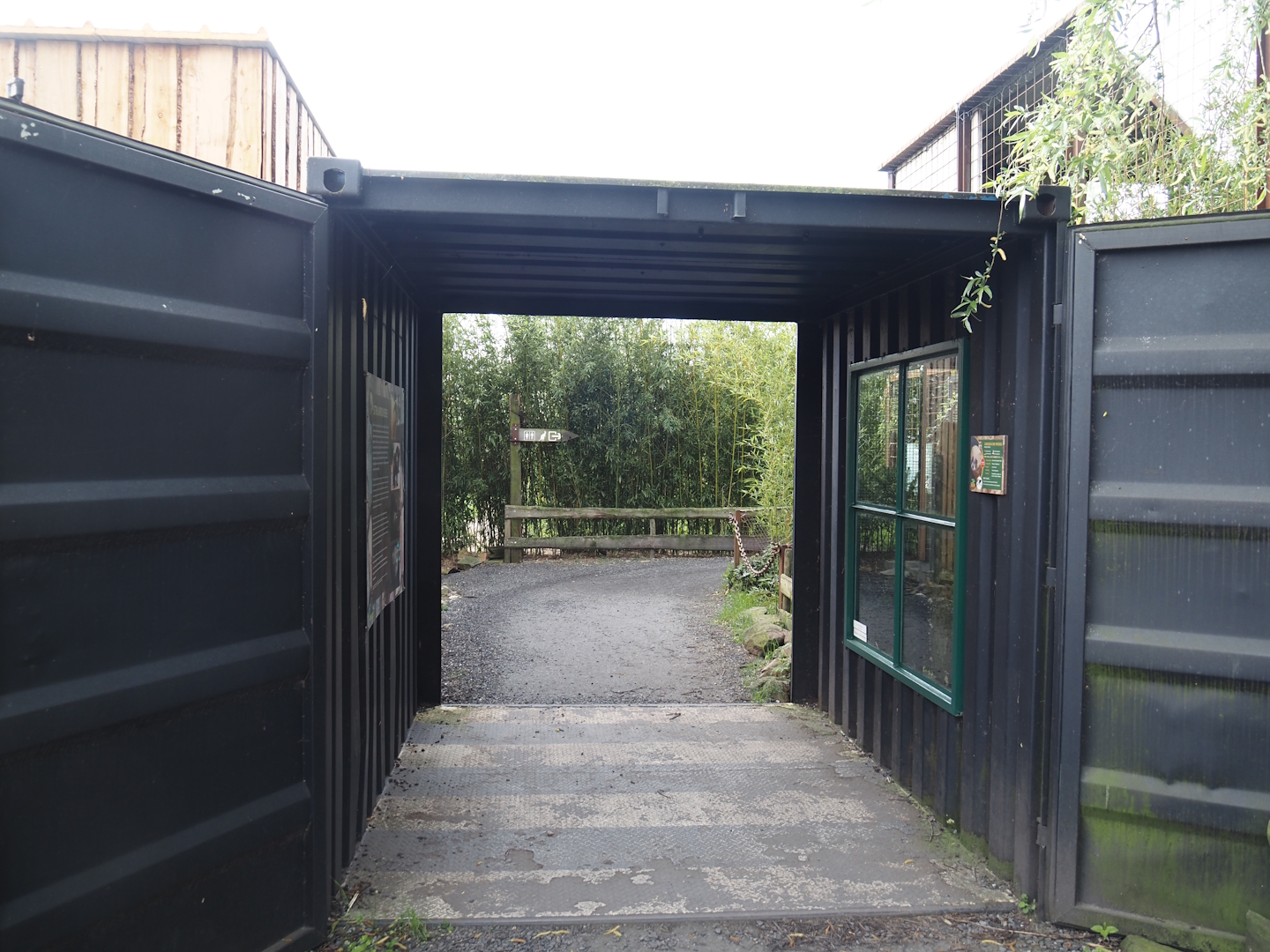 Shipping container viewing area for Siberian weasel exhibit, 2024-04-14