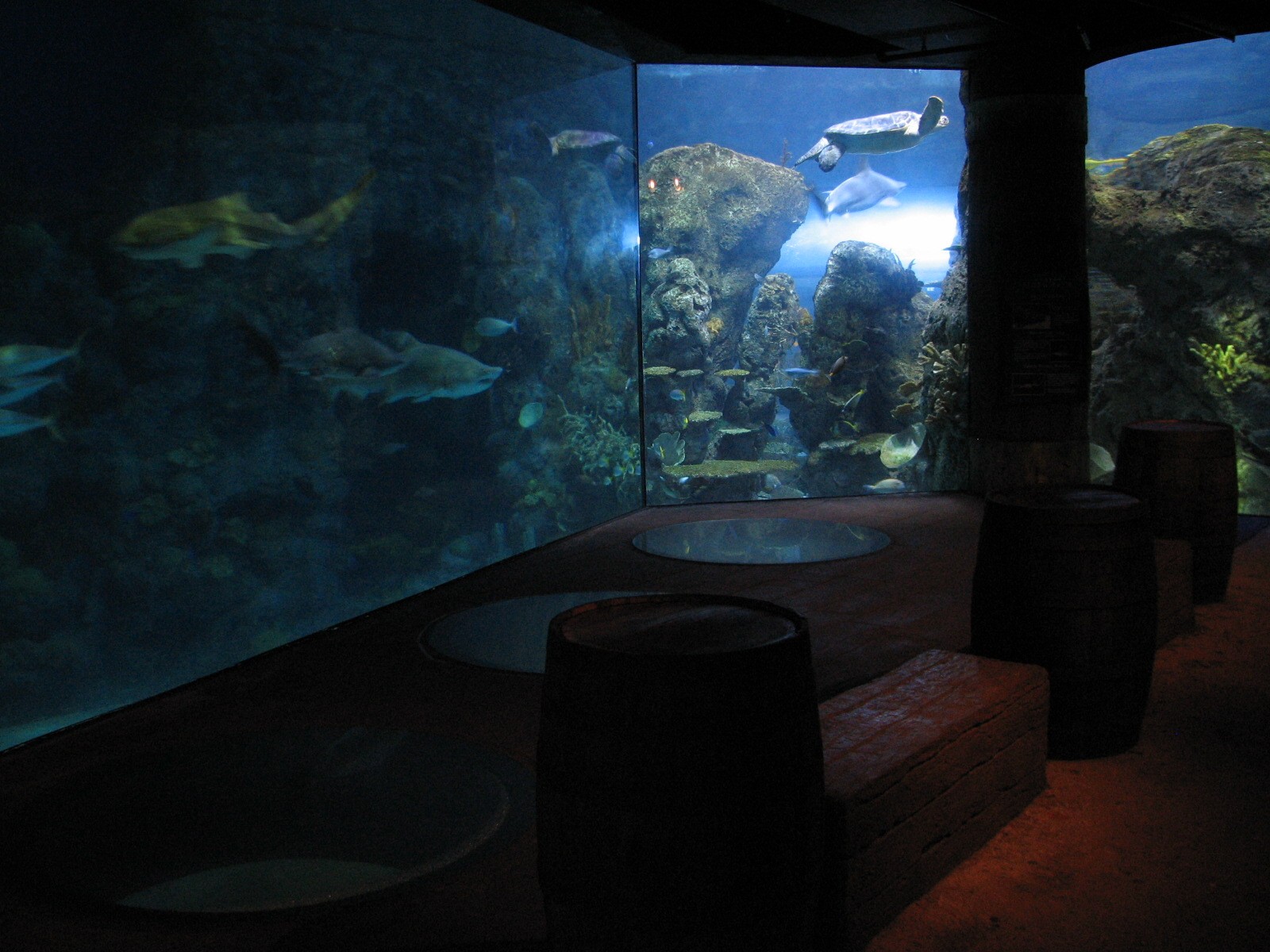 Shipwreck - Aquarium