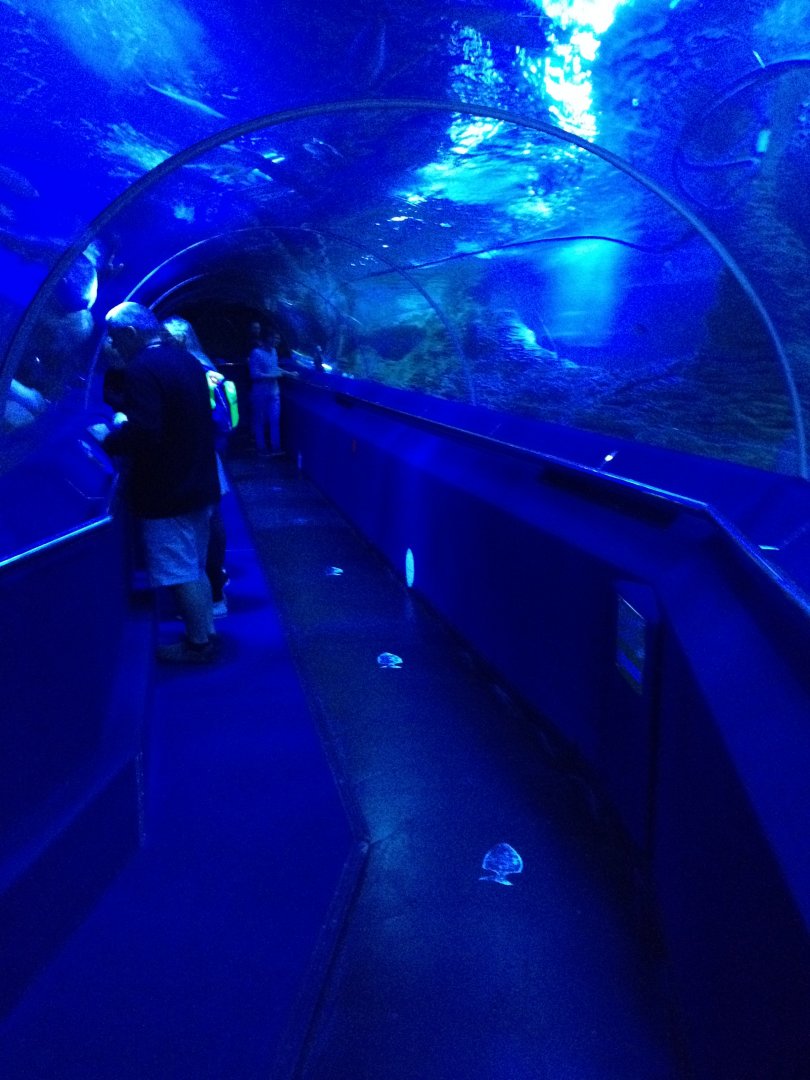 Shipwreck Coast Tunnel