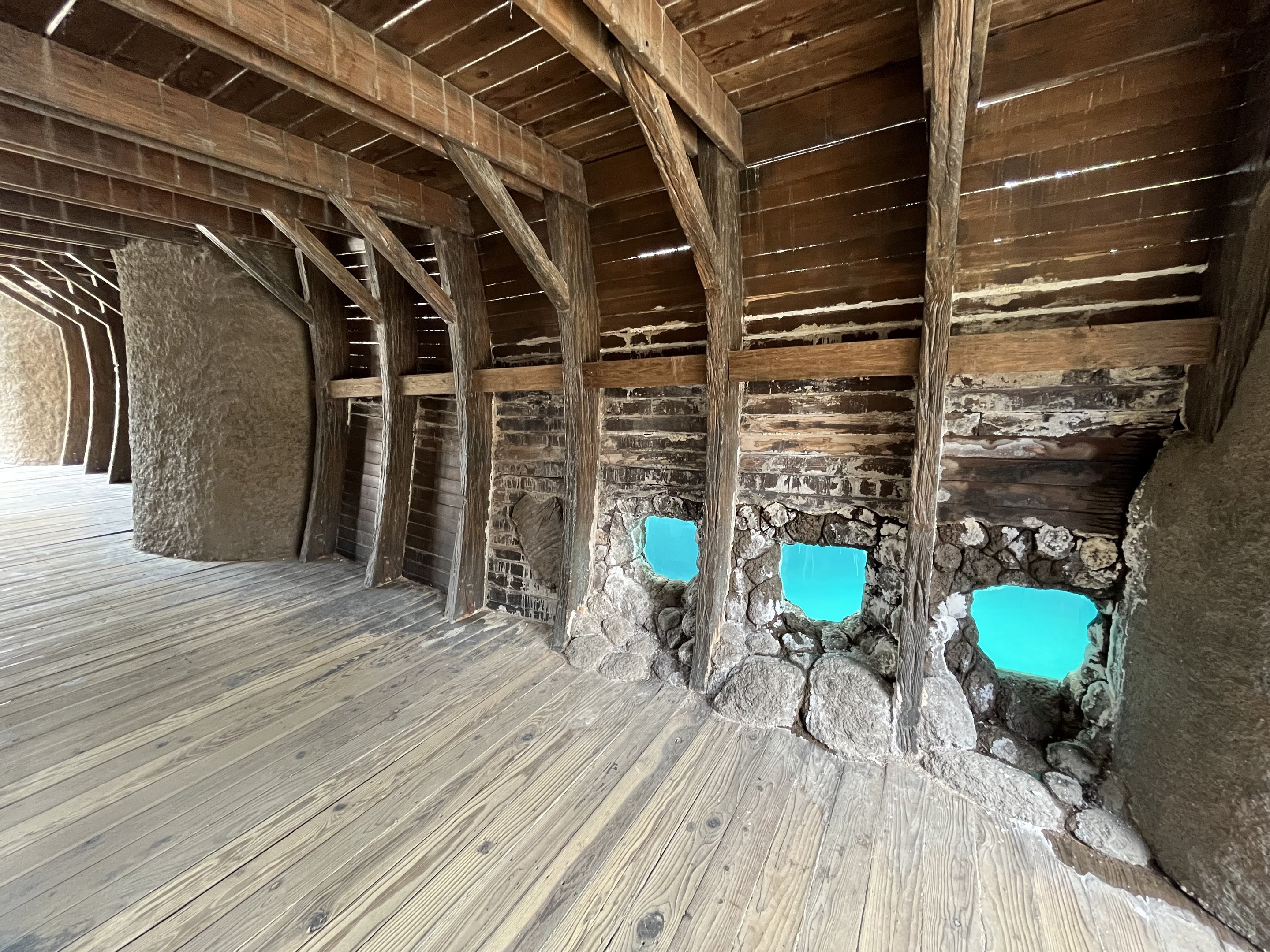 Shipwreck Cove - California Sea Lions