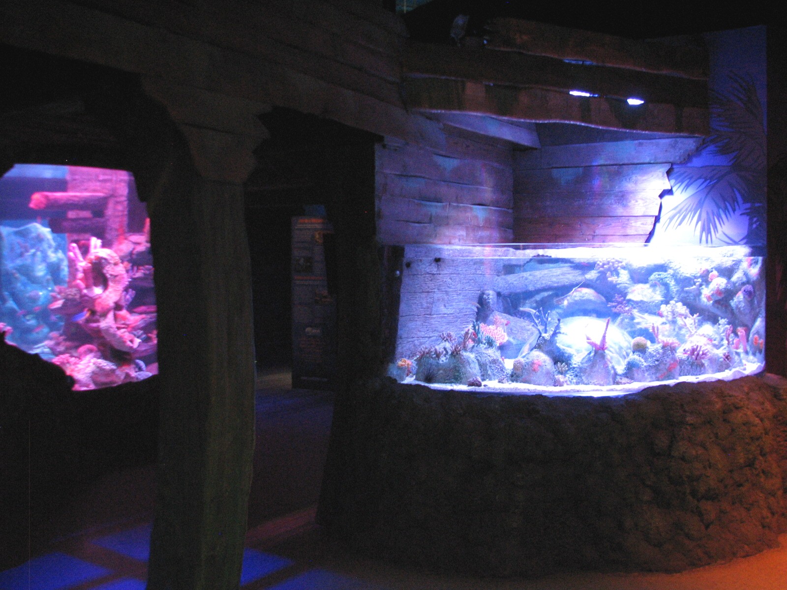 Shipwreck - Exhibits