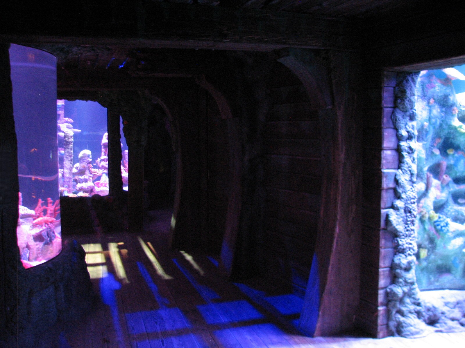 Shipwreck - Exhibits