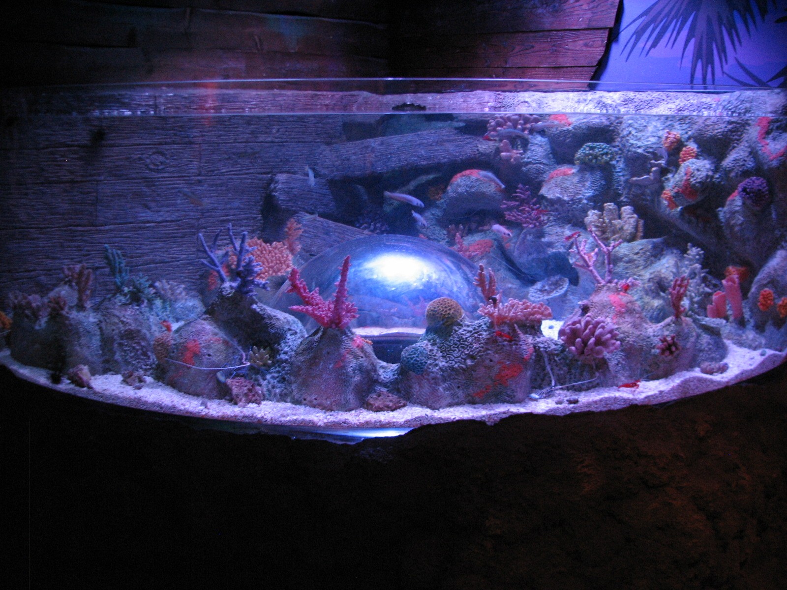 Shipwreck - First Exhibit