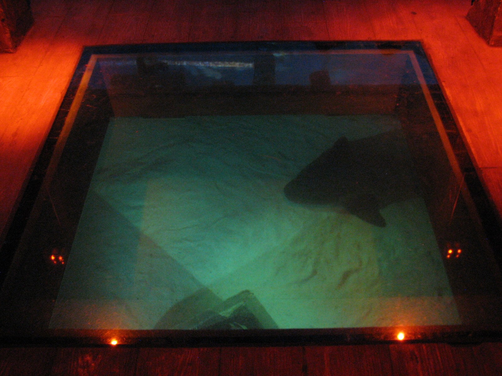 Shipwreck - Floor Window