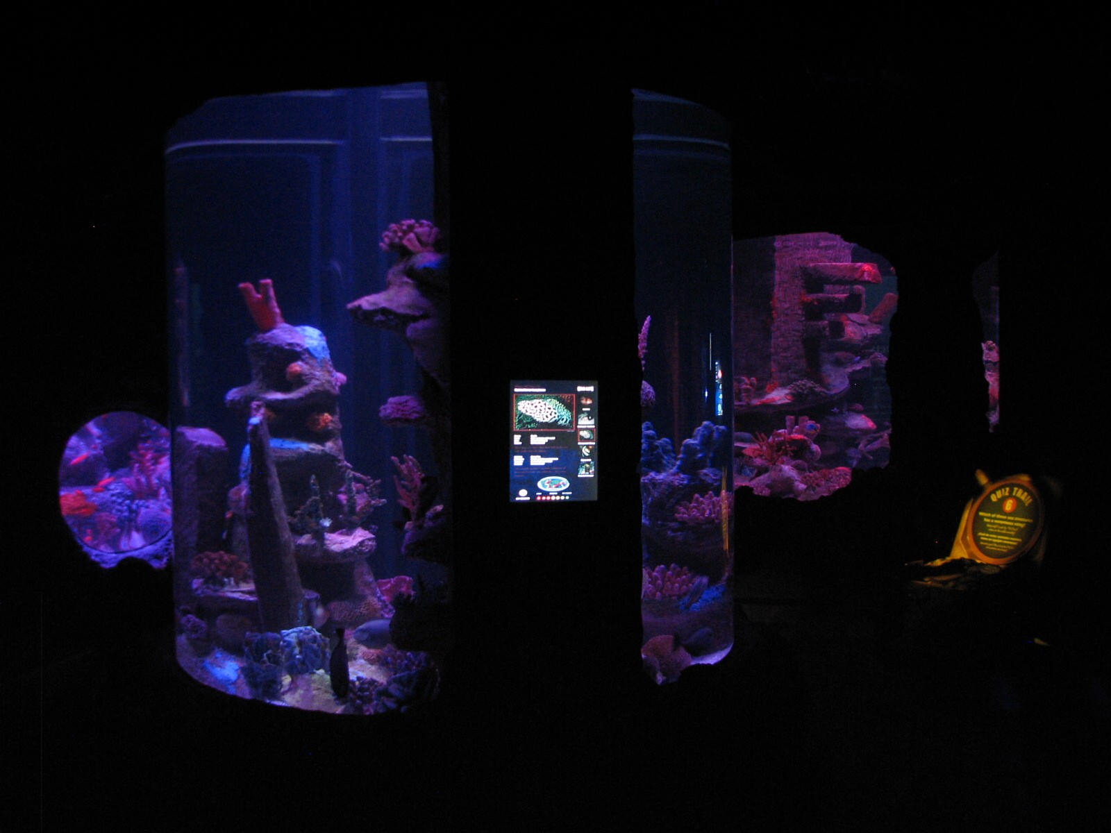 Shipwreck - Fourth Exhibit