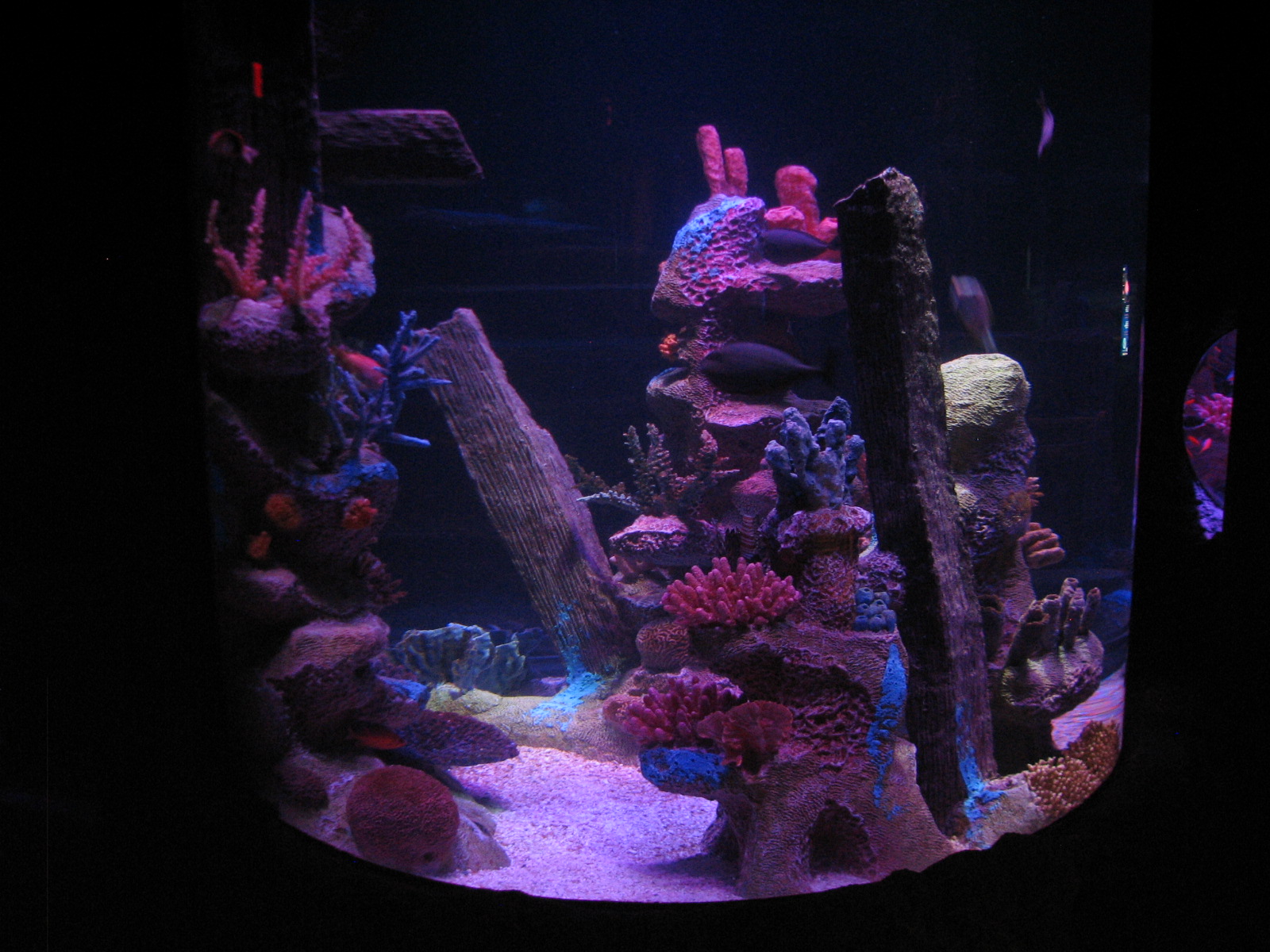 Shipwreck - Fourth Exhibit