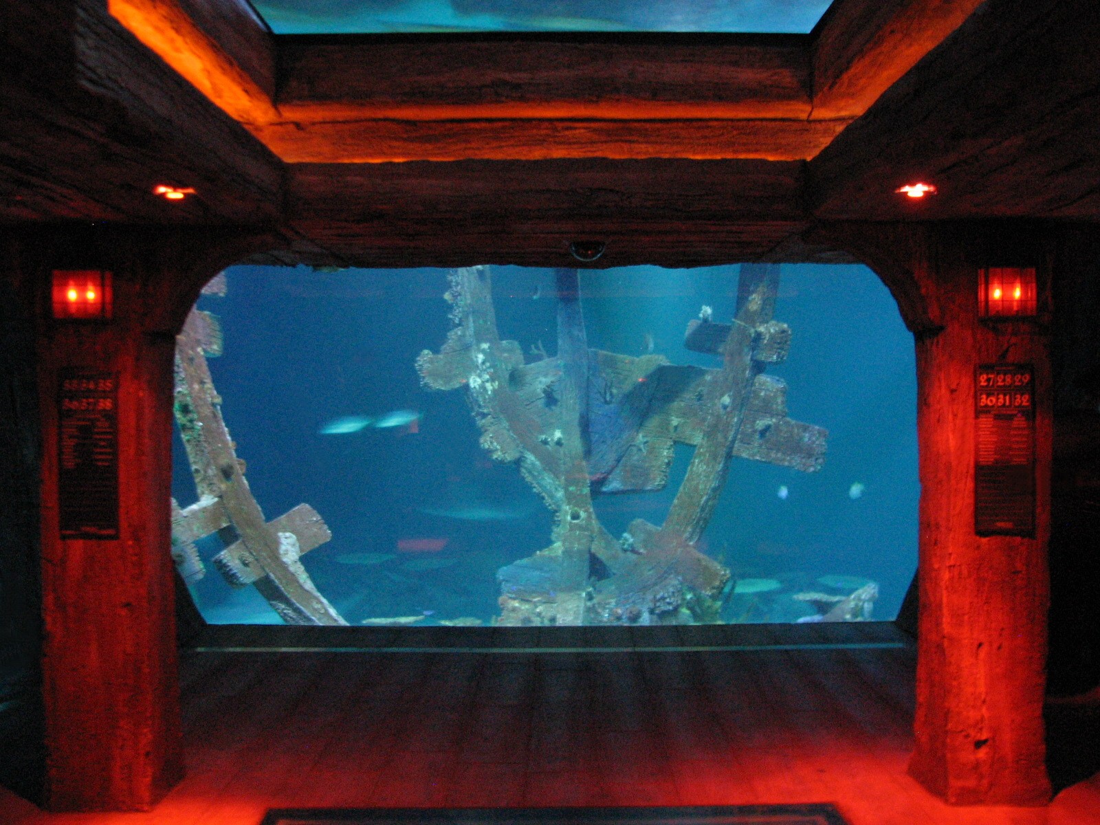 Shipwreck - Interior