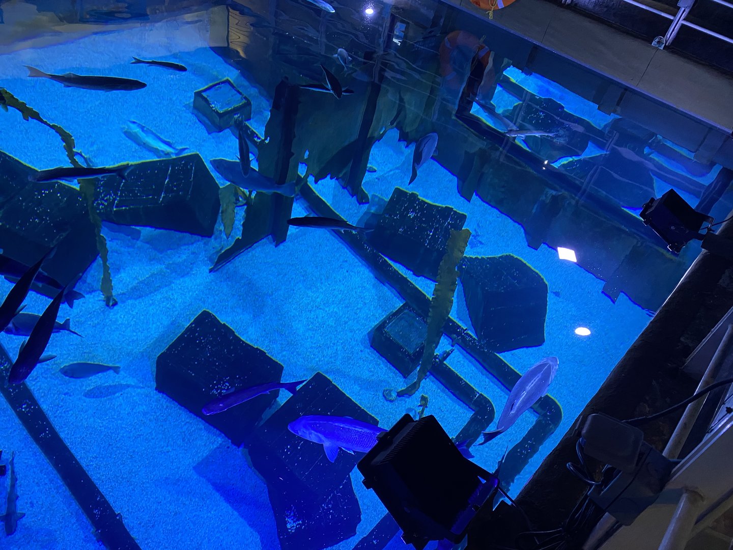 Shipwreck main tank from above 110223