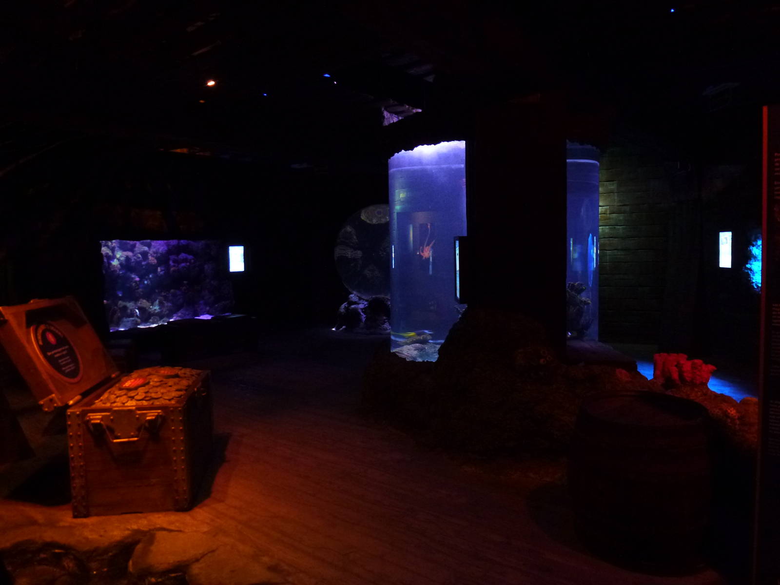 Shipwreck, November 2013.