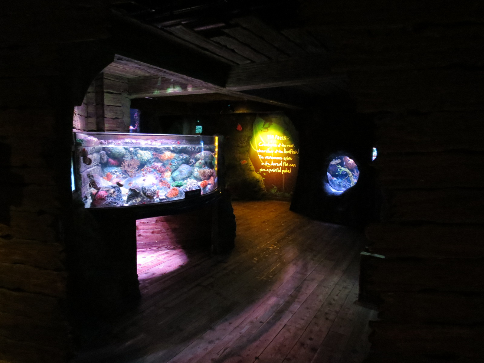 Shipwreck - Pop-up Bubble Tank