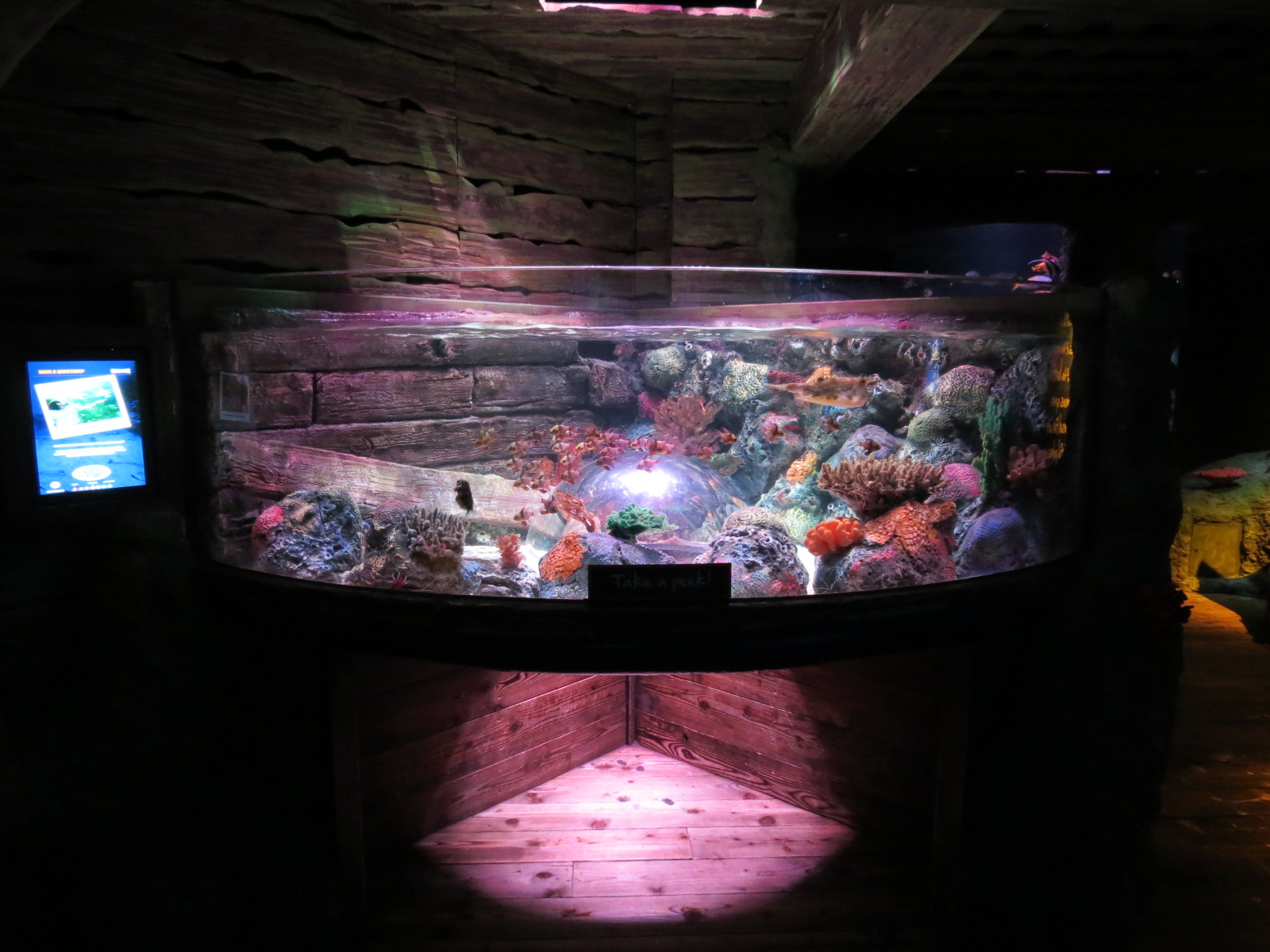 Shipwreck - Pop-up Bubble Tank