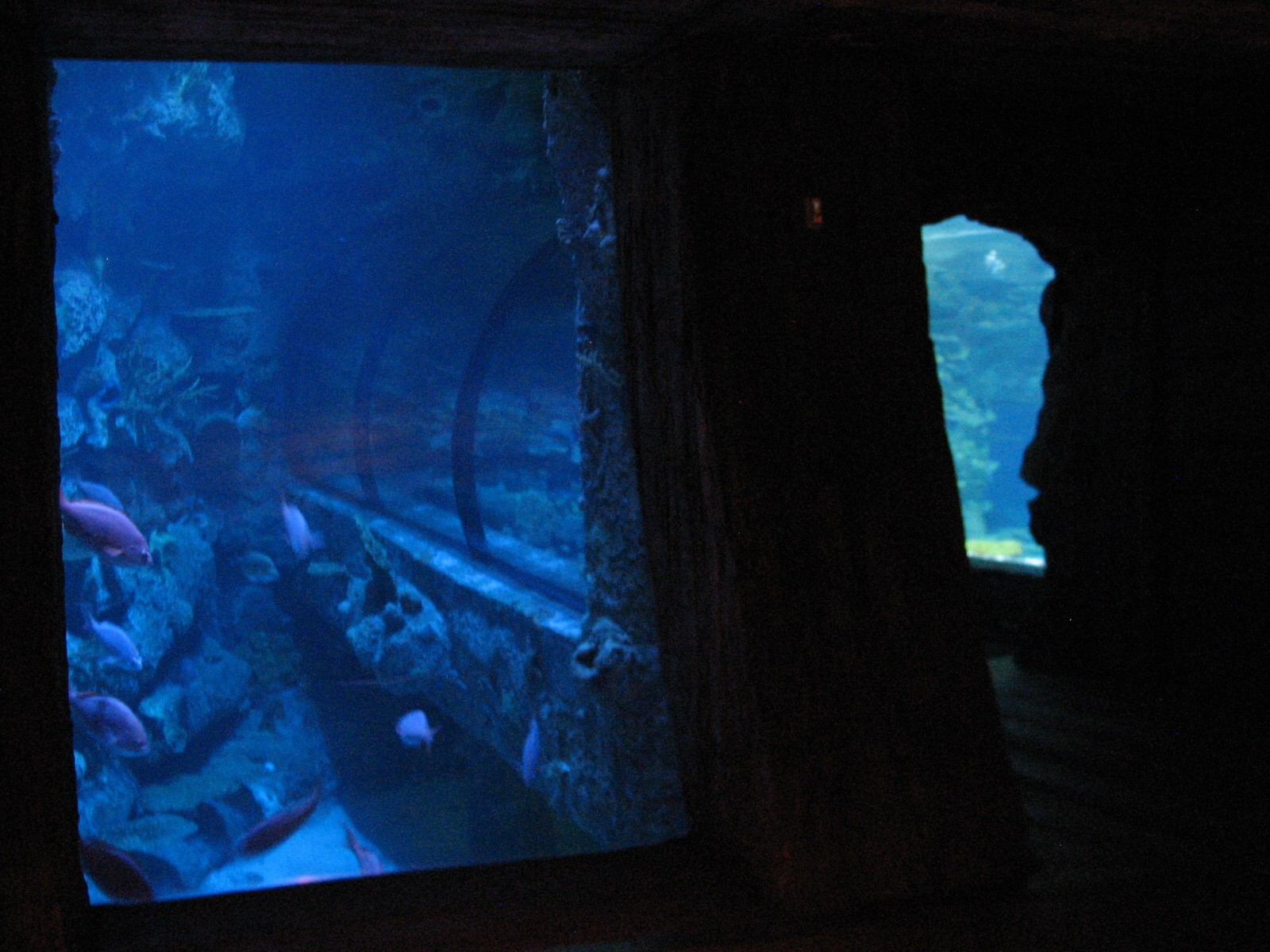 Shipwreck - Port Viewing Windows