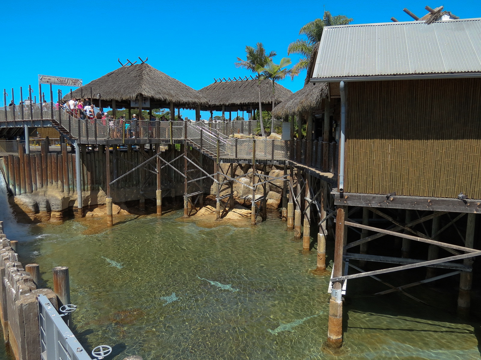 Shipwreck Rapids - Island Traders