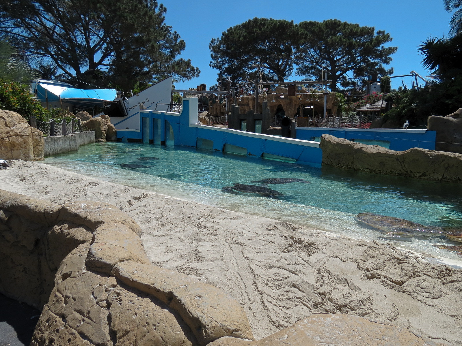 Shipwreck Rapids - Sea Turtle Exhibit 1