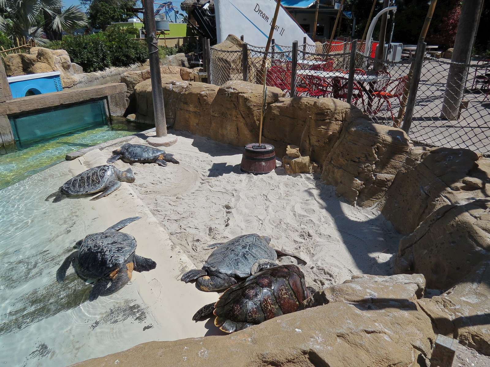 Shipwreck Rapids - Sea Turtle Exhibit 2