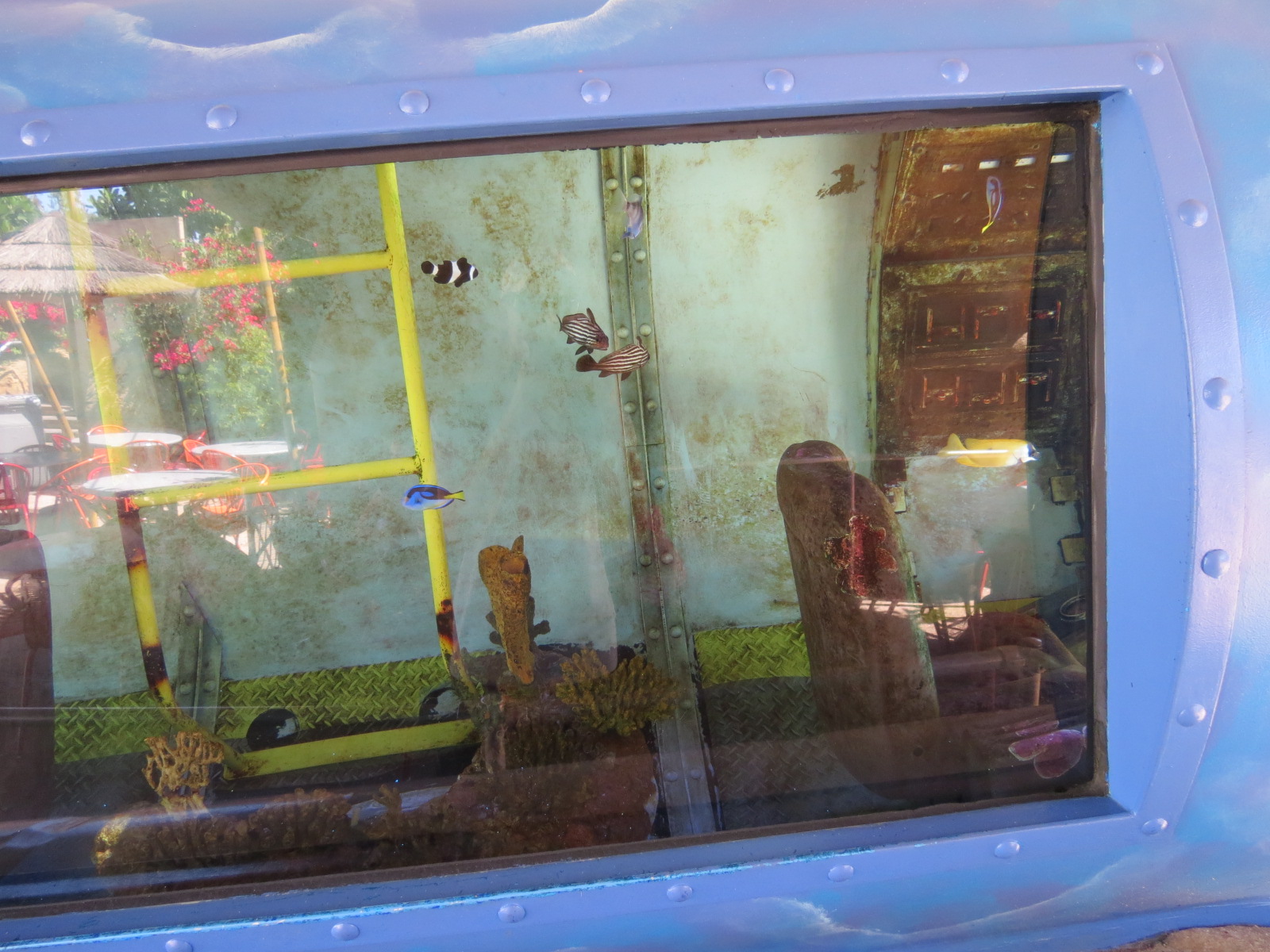 Shipwreck Rapids - Shipwreck Reef Cafe - Aquarium - Unsigned