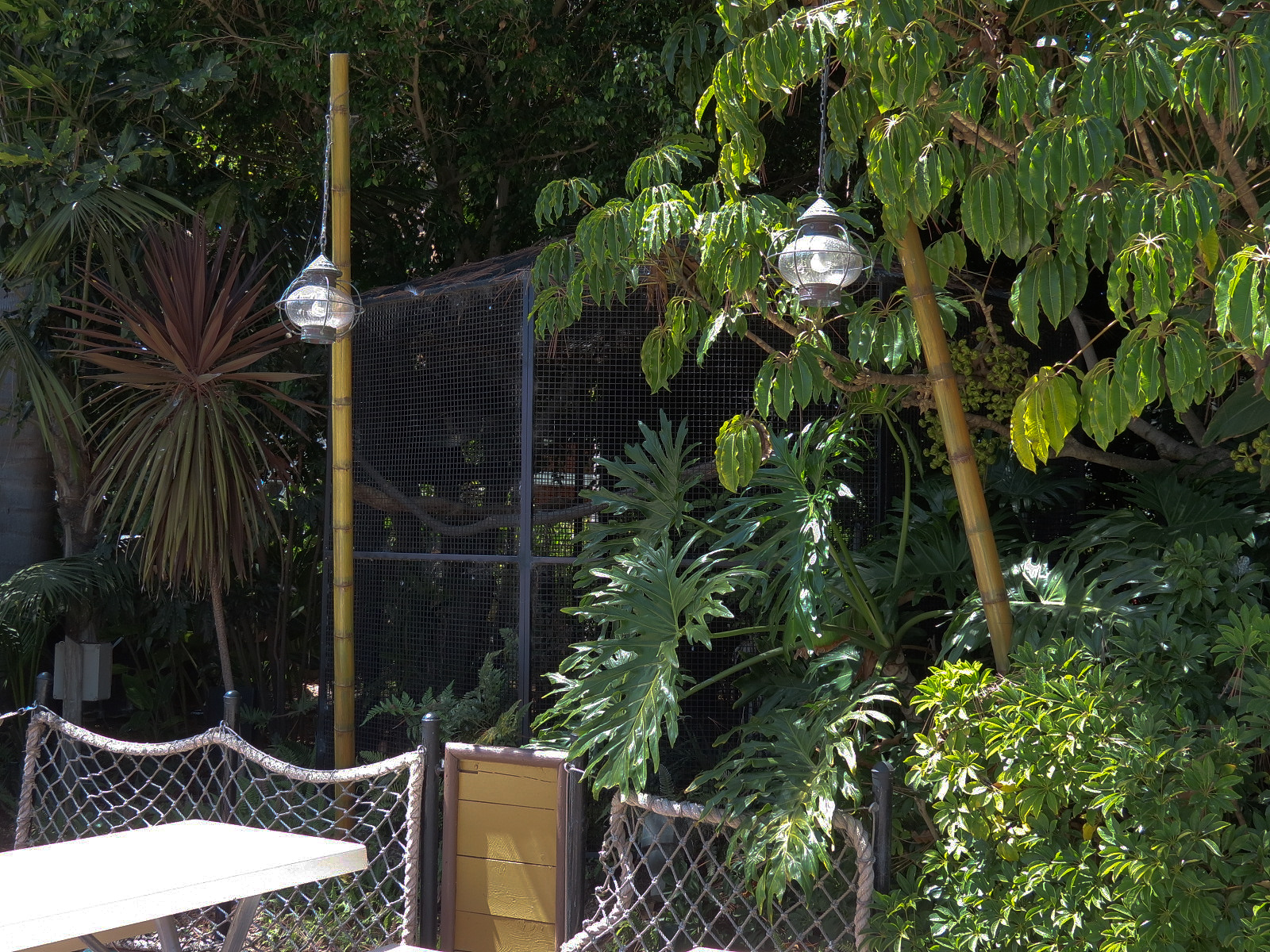 Shipwreck Rapids - Shipwreck Reef Cafe - Knobbed Hornbill Exhibit