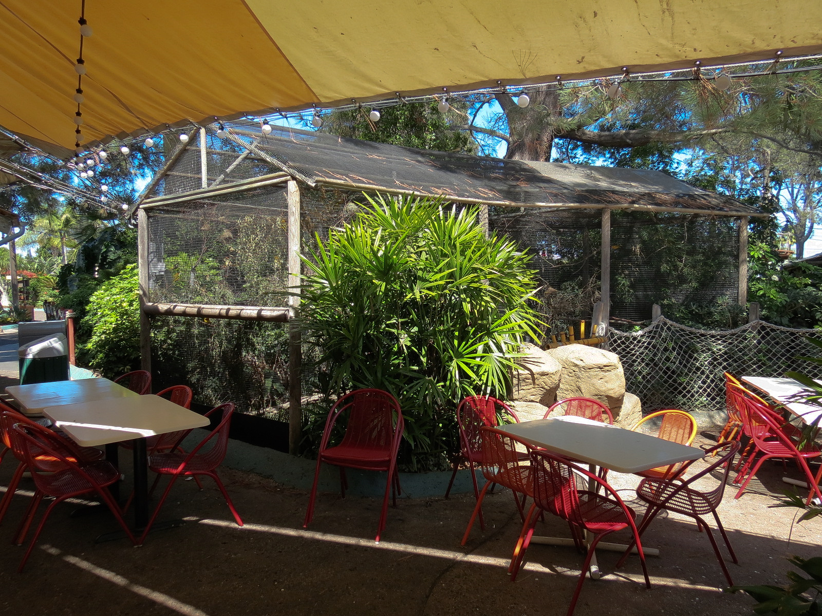 Shipwreck Rapids - Shipwreck Reef Cafe - Taveta Golden Weaver Exhibit