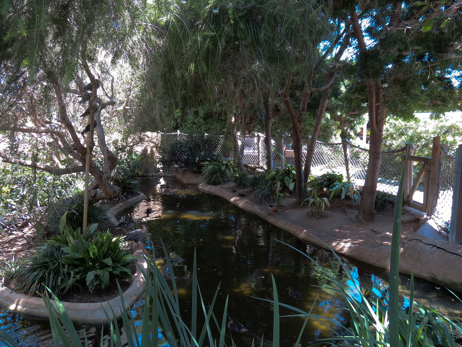 Shipwreck Rapids - Shipwreck Reef Cafe - Waterfowl Lagoon