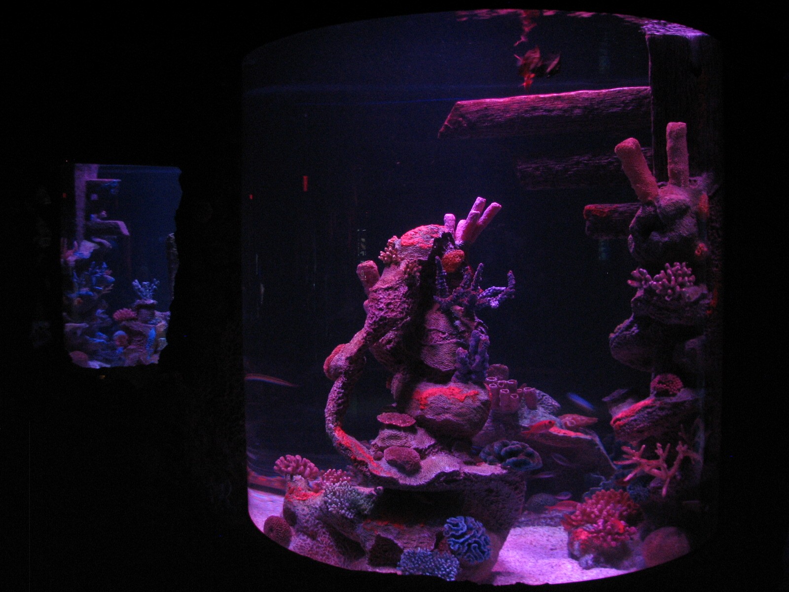 Shipwreck - Second Exhibit