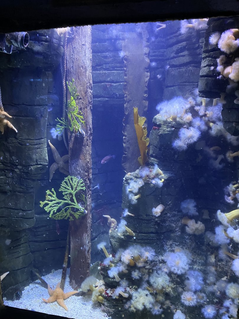 Shipwreck Section 110223