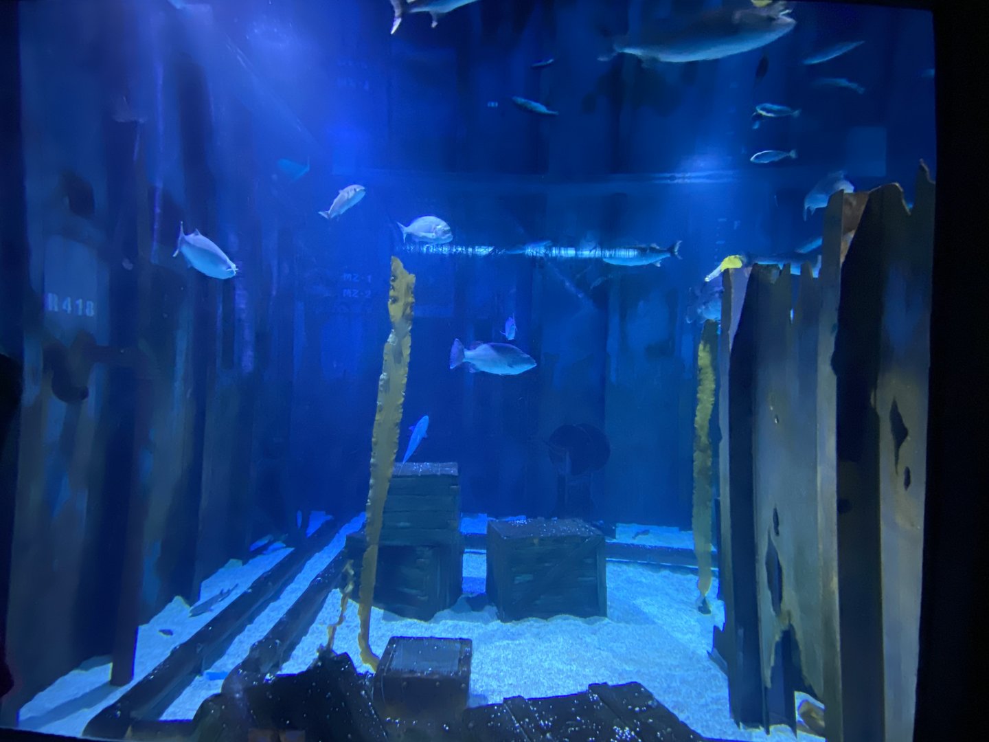 Shipwreck Section 110223