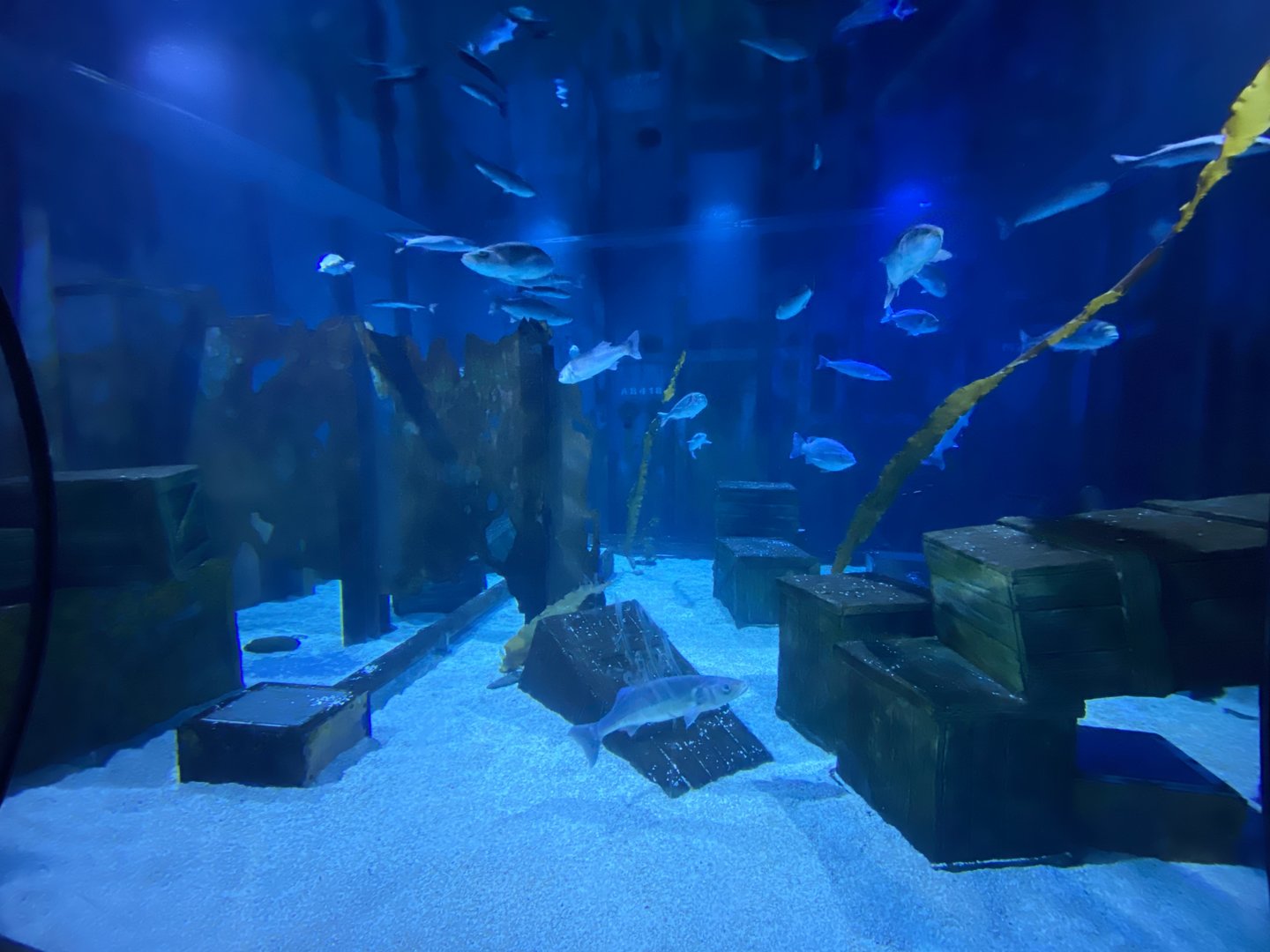 Shipwreck Section 110223