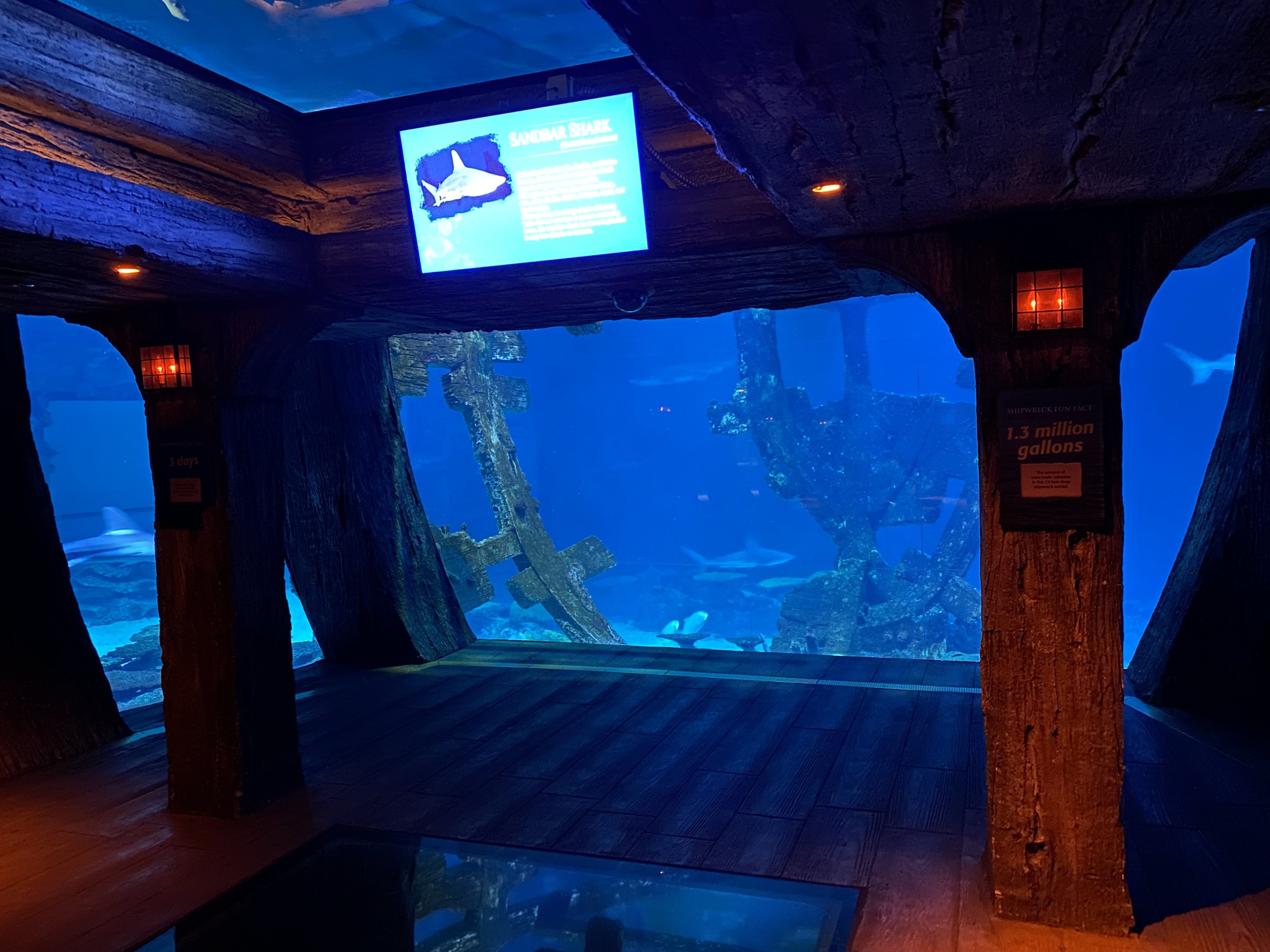Shipwreck Shark Tank