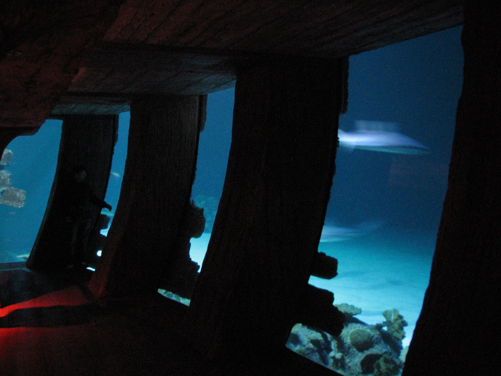 Shipwreck - Starboard Viewing Windows