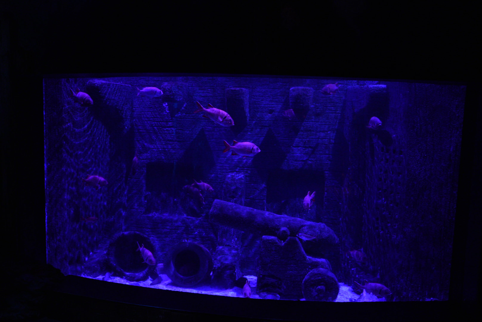 Shipwreck Tank