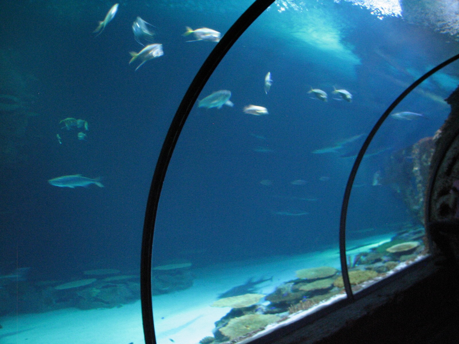 Shipwreck - Tunnel View