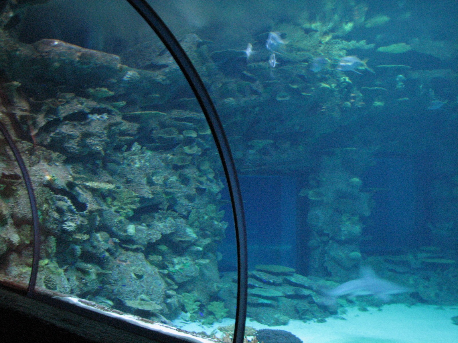 Shipwreck - Tunnel View