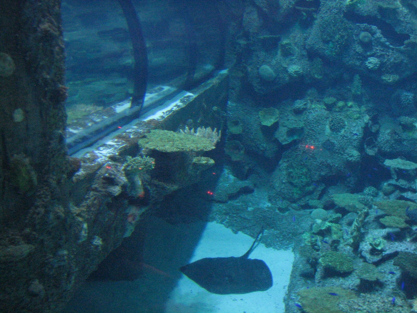 Shipwreck - Tunnel View