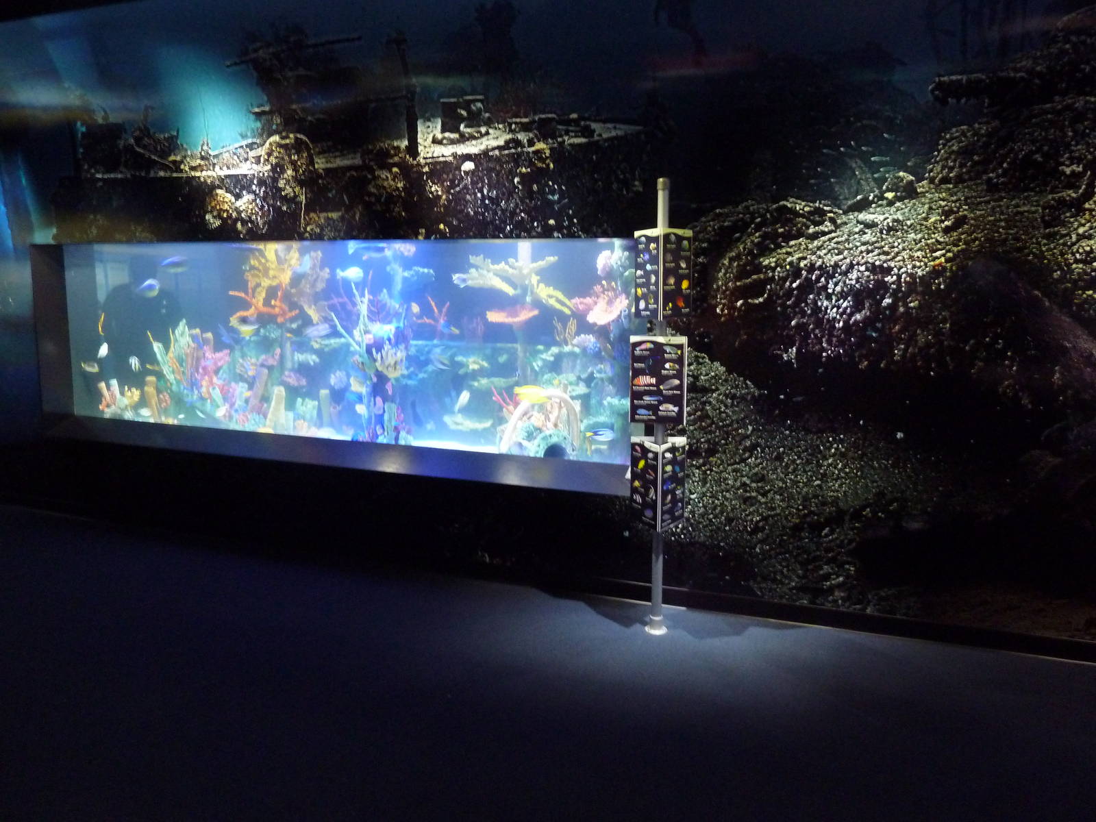 Shipwrecks Alive! - New in 2014