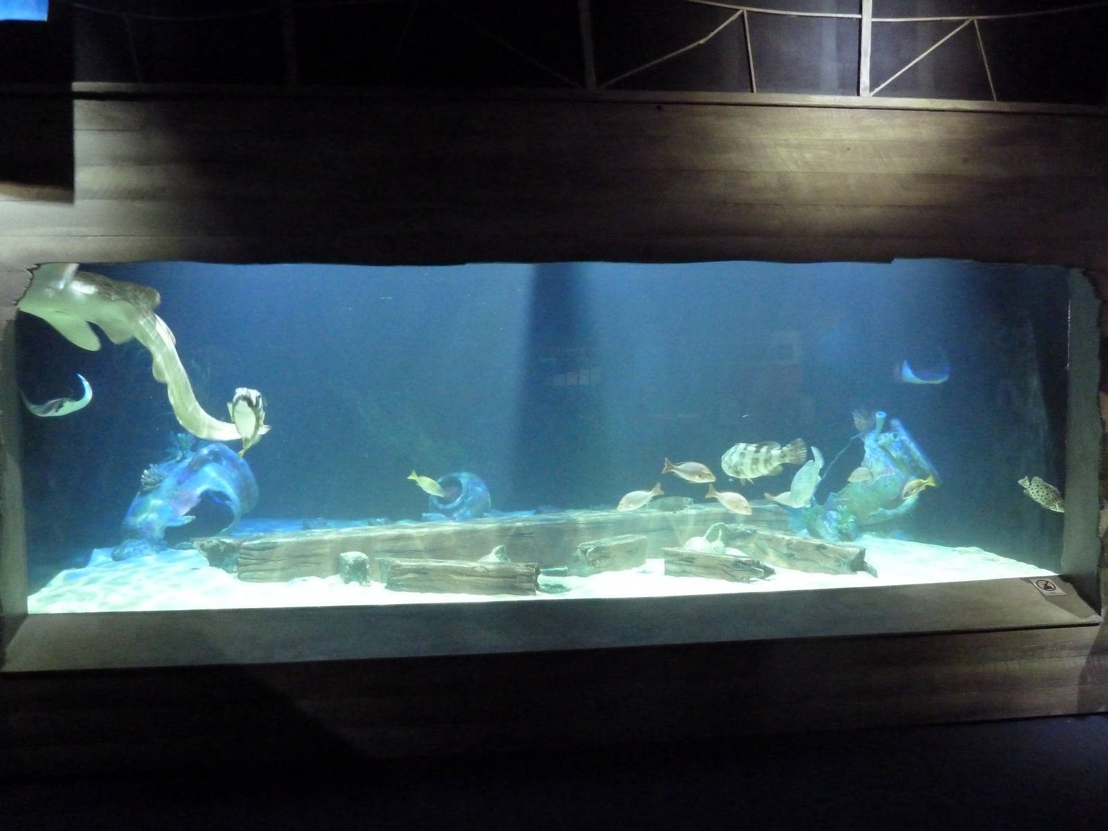 Shipwrecks Alive! - New in 2014