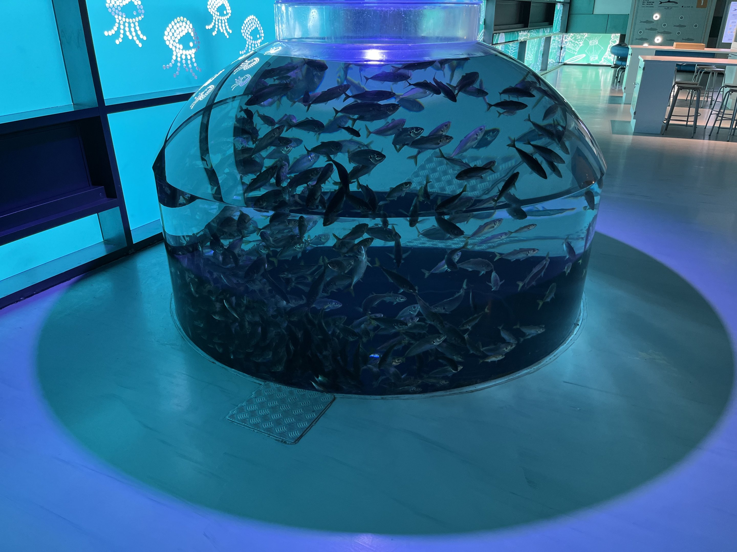 Shoaling Tank