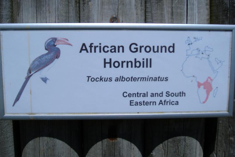 shocking error at Twycross