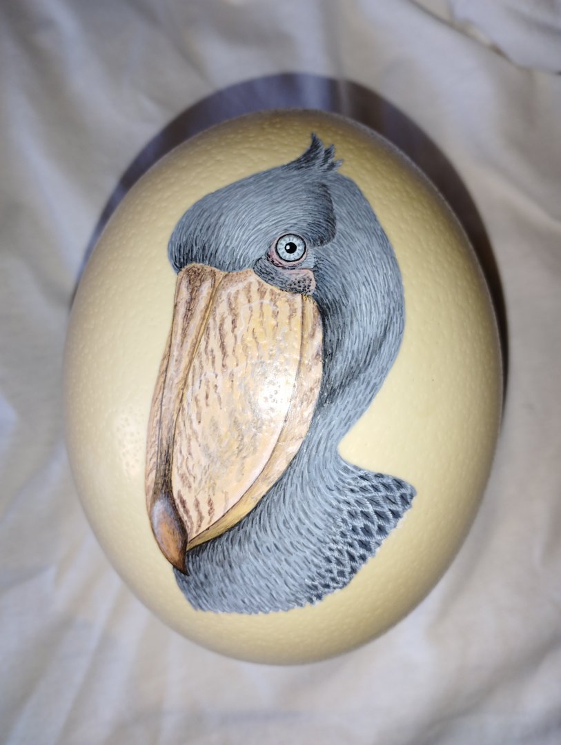 Shoebill, acrylic on ostrich egg