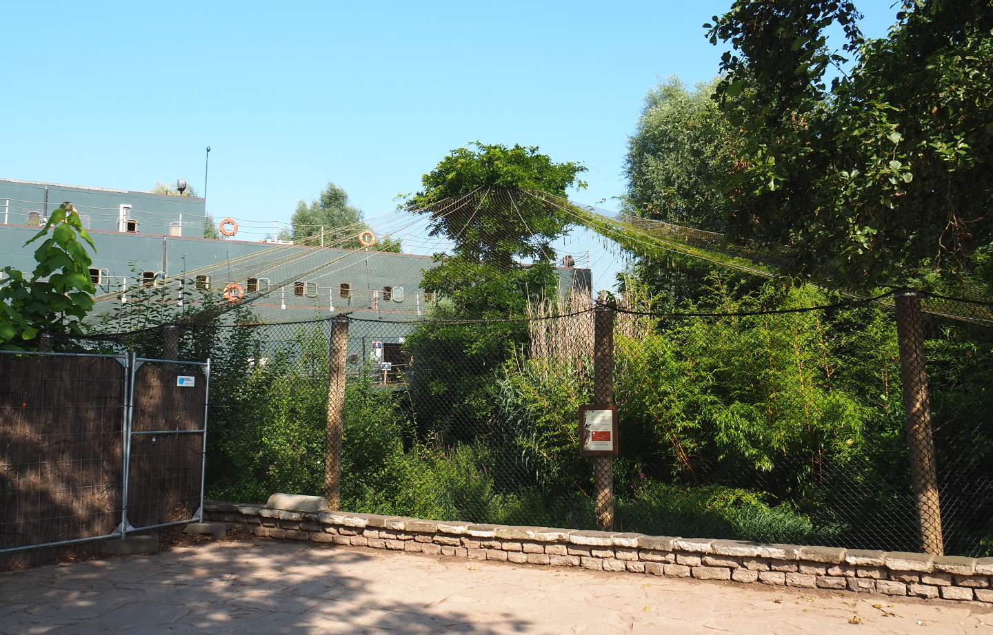 Shoebill aviary, 2021-09-02