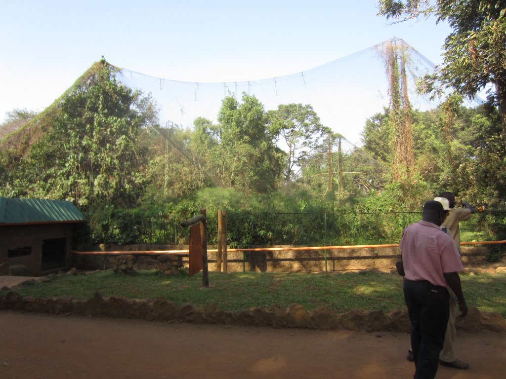 Shoebill Aviary exterior