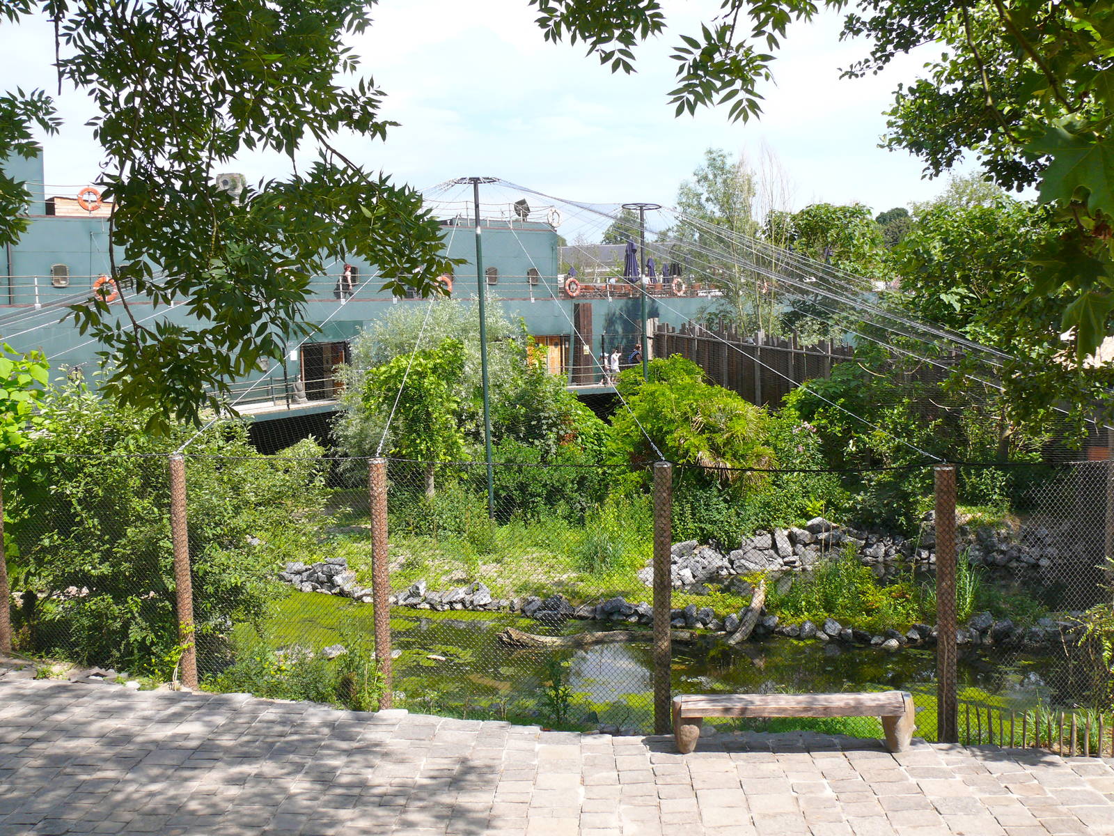 Shoebill aviary, July 2012