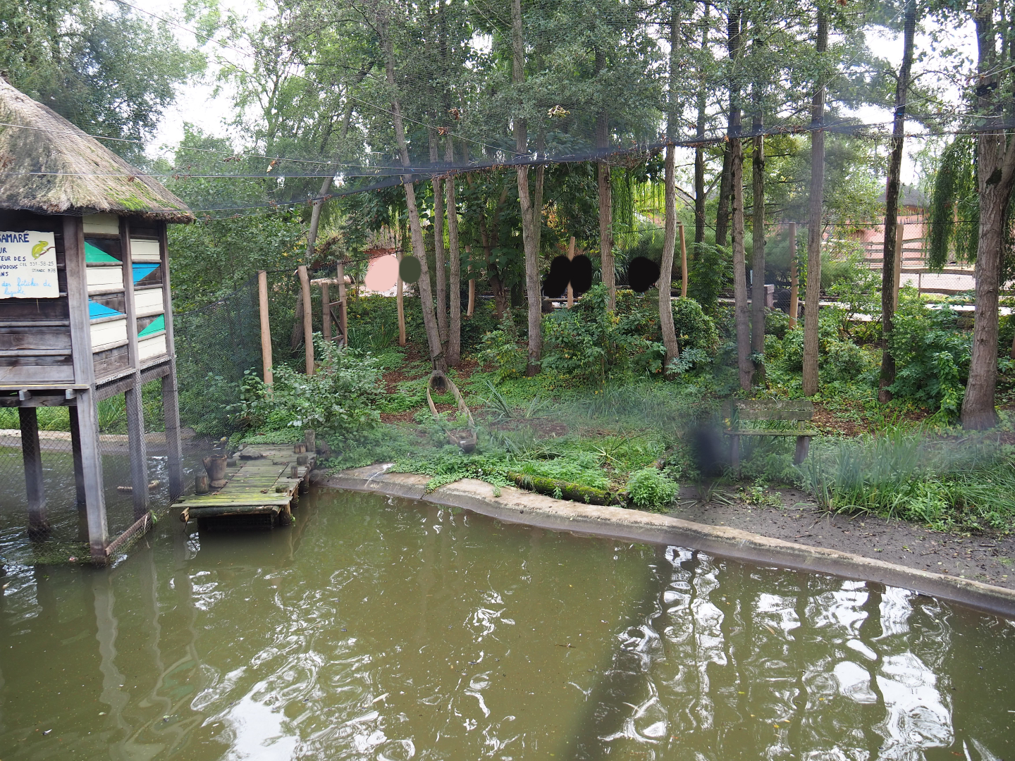 Shoebill aviary next to the African stilt village, 2019-10-04