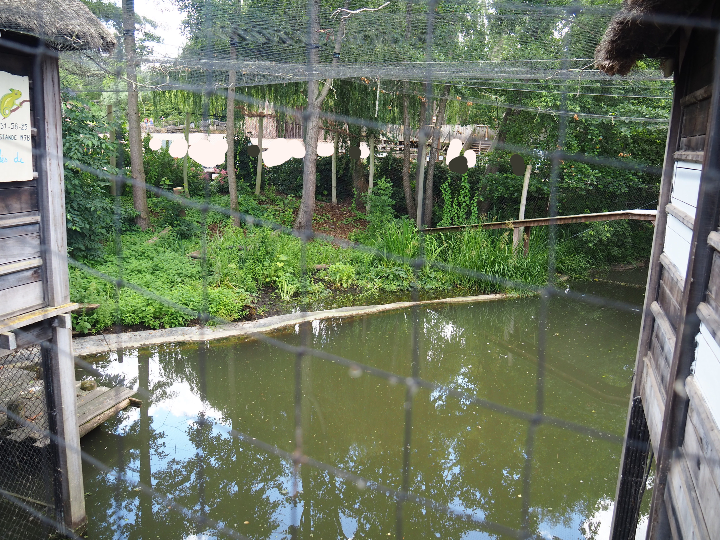 Shoebill aviary next to the African stilt village, 2022-06-28