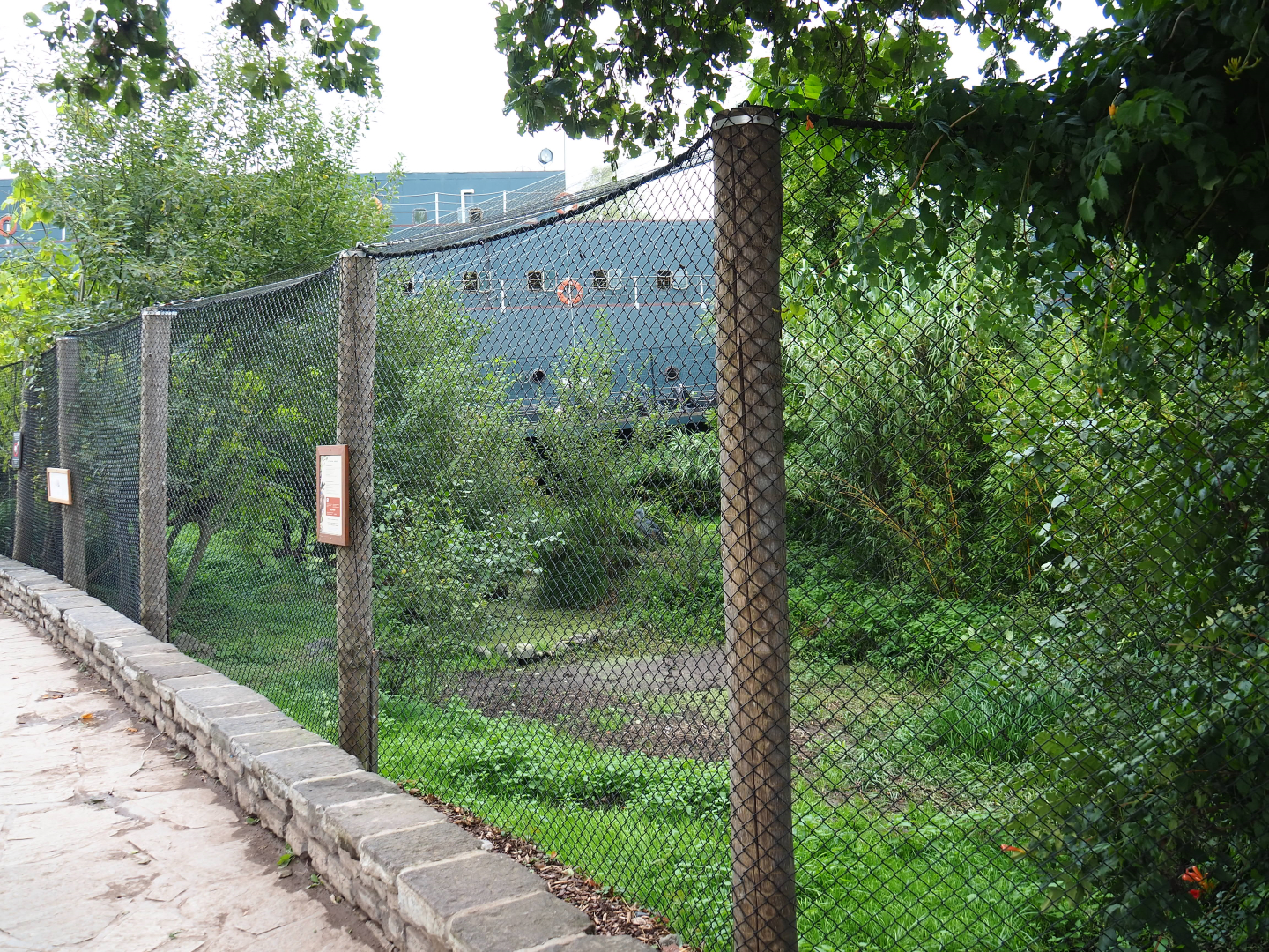 Shoebill aviary next to the Mersus Emergo, 2019-10-04