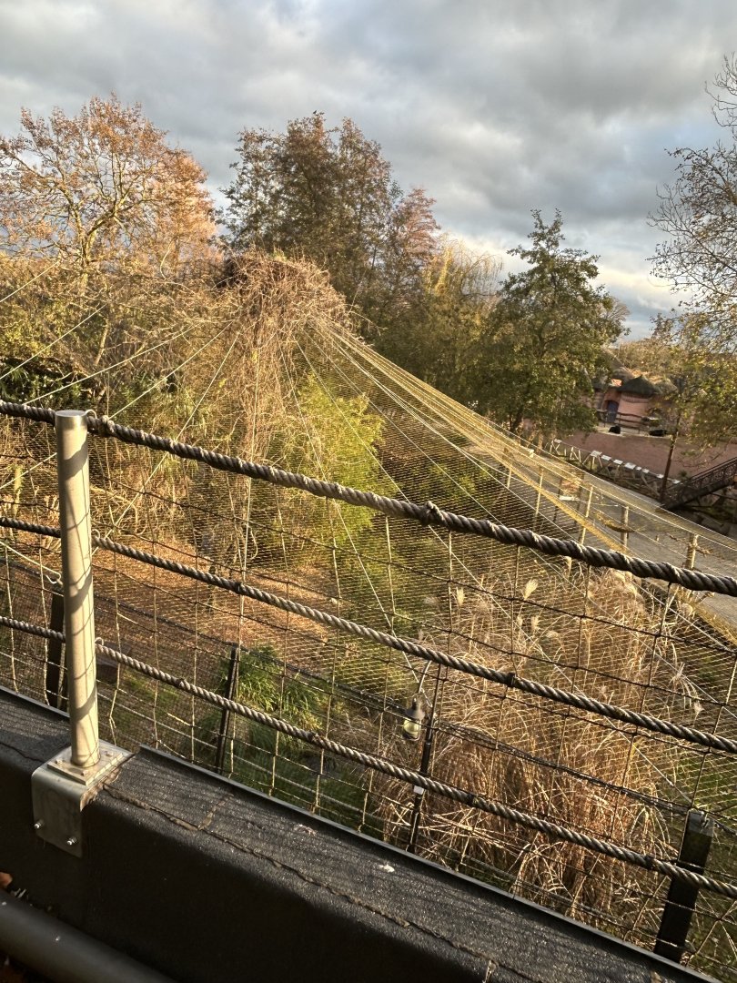 Shoebill aviary view from inside the Mersus Emergo