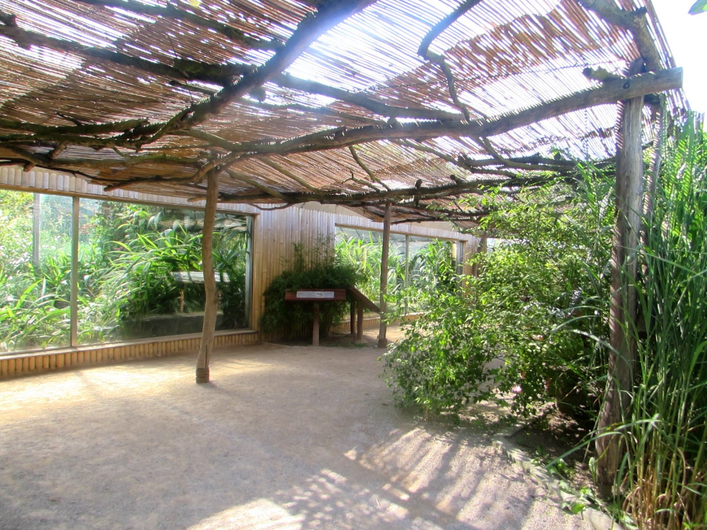 Shoebill enclosure - July/2017