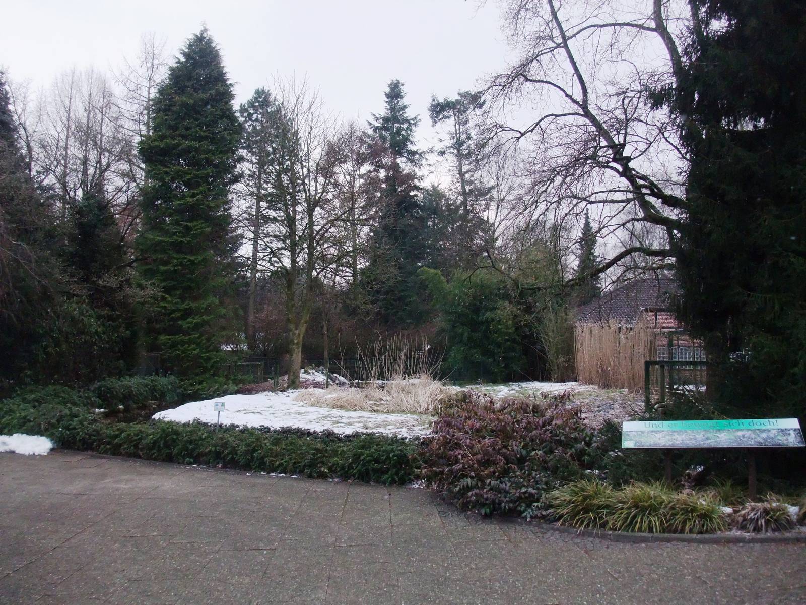 Shoebill Exhibit at Walsrode, 22/03/13